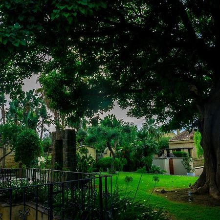 Villa Medina Чефалу Экстерьер фото